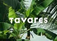 Tavares