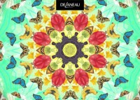 DeLaneau New Year