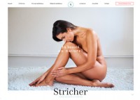 Cabinet Stricher
