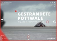 Greenpeace | Stranded Whales