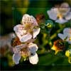 Jcrop – The jQuery Image Cropping Plugin