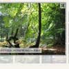 Chrome Style jQuery Image Gallery