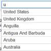Redesigning the jQuery Country Selector