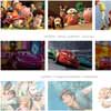 Adipoli : Attractive jQuery Image Hover effect plugin