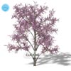 jQuery plugin : Fancy Zoom with Demo