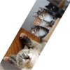 inflickity : jQuery Never-ending drag n' flick content with Demo