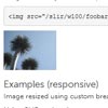 Doubletake : jQuery plugin for responsive images