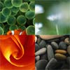 Clip Gallery : jQuery Clip Animation Photo Gallery