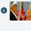 Creating a Flipbook Image Slider with CSS3 3D Transforms and jQuery