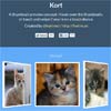 Kort : CSS 3D thumbnail preview concept with JavaScript