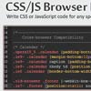 JavaScript Browser Determiner