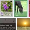 jCapSlide: A jQuery Image Caption Plugin