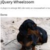 jQuery Wheelzoom : A plugin to enlarge IMG elements on mousewheel/trackpad