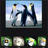 Make a Web App with Instagram-like Filters in jQuery & CamanJS