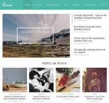 Cassia - A Responsive WordPress Blog Theme