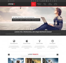 CrowX Multi-Purpose Responsive WordPress