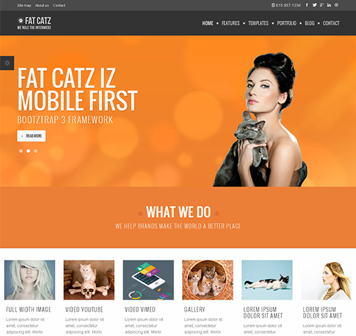 Fat Catz | Bootstrap3 Website Template