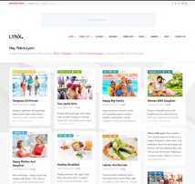 Lynx 3 in 1 - Retina Responsive Wordpress Theme
