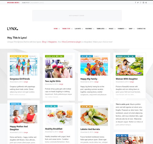 Lynx 3 in 1 - Retina Responsive Wordpress Theme