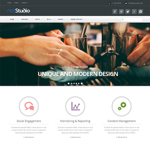 NetStudio - Bootstrap 3 Multi-Purpose Template