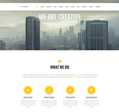 Oriolus - Responsive Onepage WordPress Theme