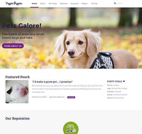 Petshop - Responsive Pet Friendly Theme