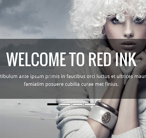 RedInk - Responsive HTML5 Template