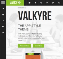 Valkyre App Style WP Theme