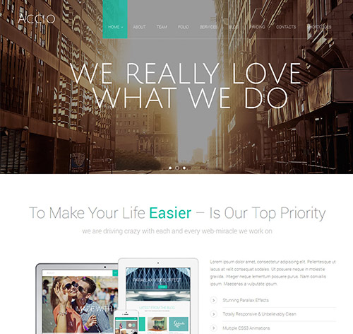 Accio Responsive HTML5/CSS3 Site Template