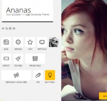 Ananas - Multi purpose 1/+ page Bootstrap Theme