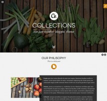 Collections - Minimal Multipurpose Blogging Theme