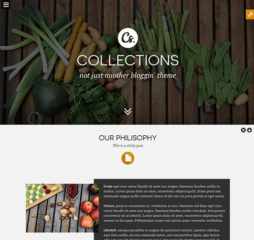 Collections - Minimal Multipurpose Blogging Theme