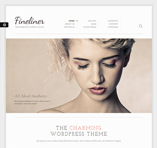 Fineliner - Responsive Portfolio WordPress Theme