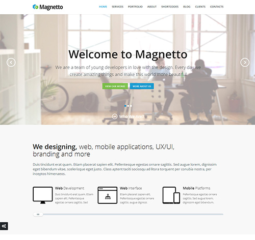 Magnetto - Onepage Parallax WordPress Theme