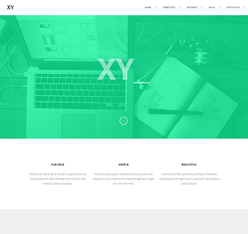 XY - Premium WordPress Theme