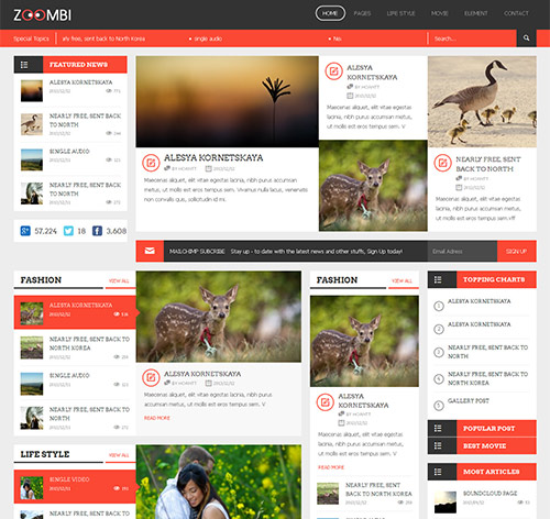 Zoombi- Magazine WordPress theme