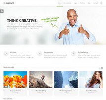 Astrum - Responsive Drupal Theme