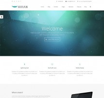 Avian | Responsive Multi-Purpose Theme