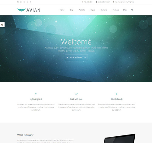 Avian | Responsive Multi-Purpose Theme