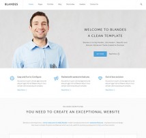 Blandes Multipurpose Responsive Wordpress Theme