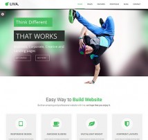 Liva - Responsive MultiPurpose Drupal Template