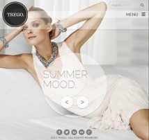 Trego - Ultimate Responsive Woocommerce Theme