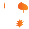 jQuery 3D Falling Leaves Plugin