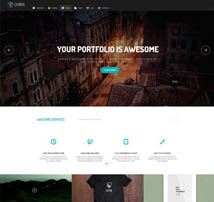 Cobra | Portfolio & Photography WordPess Theme