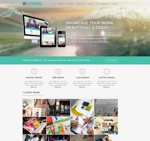 NOO Delphinus - Corporate/Portfolio Template