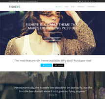 Fisheye | Responsive Multi-Purpose Theme
