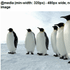 jQuery RWD Images : Responsive Images Plugin