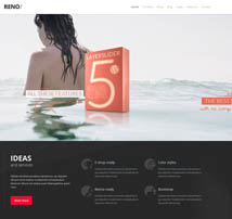 Reno - MultiPurpose WordPress WooCommerce Theme