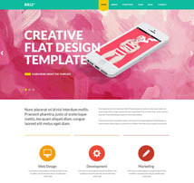 BRIZZZ - Flat One Page HTML Template