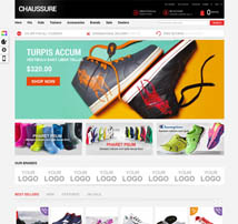 Responsive Magento Theme - EM Chaussure